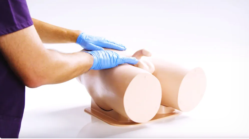 Clinical Male Pelvic Trainer (CMPT) Mk 2 - Standard (Light Skin Tone) (60951)