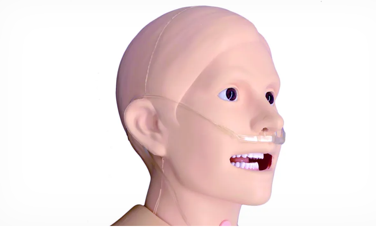 Examination Simulator II (KKMW-12)
