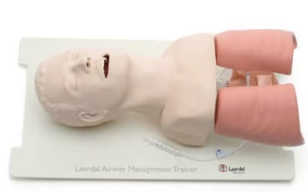 Laerdal® Airway Management Trainer [25000033]