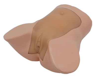 Laerdal® Ectopic Pregnancy Ultrasound Examination Model [MU-E-OBGY02-MNS]