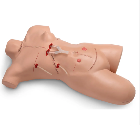 \"Surgical Sally\" Bandaging Simulator (LF00929)