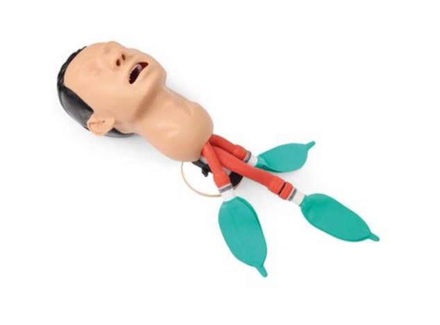 Airway Management Trainer, Light Skin (1026007 [P73])