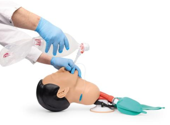 Airway Management Trainer, Light Skin (1026007 [P73])