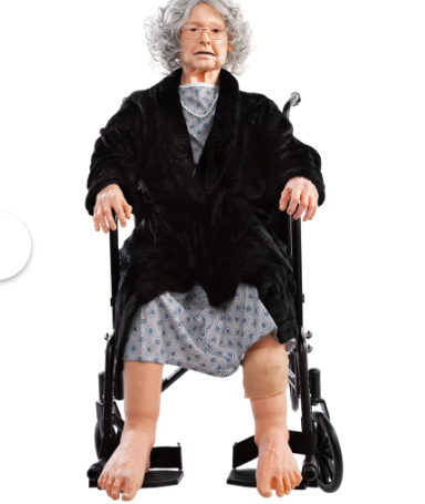 TERi Patient Care Trainer with Chest Compression ( LF04350)