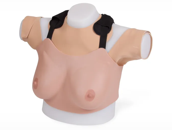 Advanced Breast Examination Trainer (Light Skin Tone) (40201)