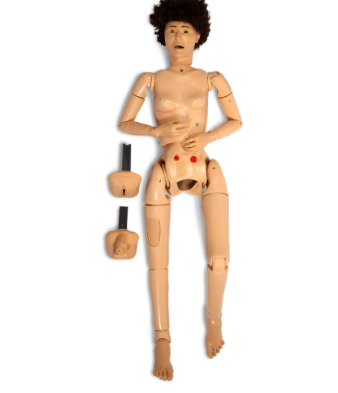 Prestan Nasco KERi Complete Nursing Skills Manikin - Light with IV Arm and Blood Pressure Arm ( LF04020)