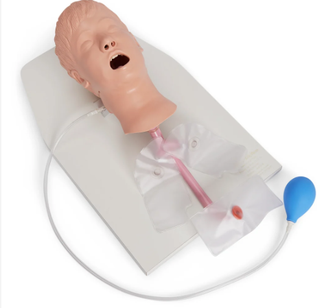 Nasco Child Airway Management Trainer with Stand ( LF03609)